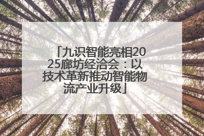 九识智能亮相2025廊坊经洽会：以技术革新推动智能物流产业升级