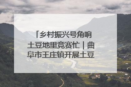 乡村振兴号角响 土豆地里竞赛忙｜曲阜市王庄镇开展土豆收获劳动竞赛