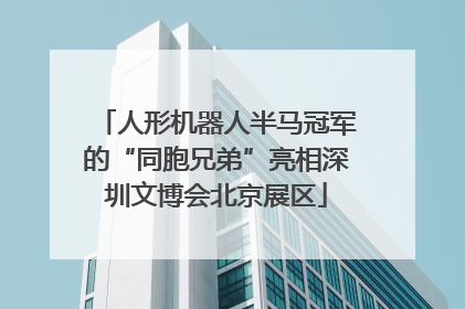 人形机器人半马冠军的“同胞兄弟”亮相深圳文博会北京展区