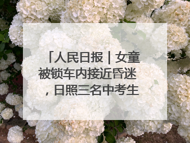 人民日报｜女童被锁车内接近昏迷，日照三名中考生果断破窗救人