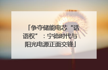 争夺储能电芯“话语权”：宁德时代与阳光电源正面交锋