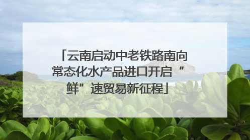 云南启动中老铁路南向常态化水产品进口开启“鲜”速贸易新征程