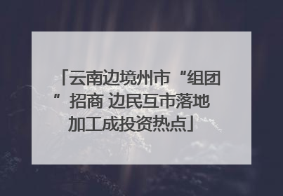 云南边境州市“组团”招商 边民互市落地加工成投资热点
