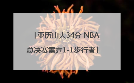 亚历山大34分 NBA总决赛雷霆1-1步行者