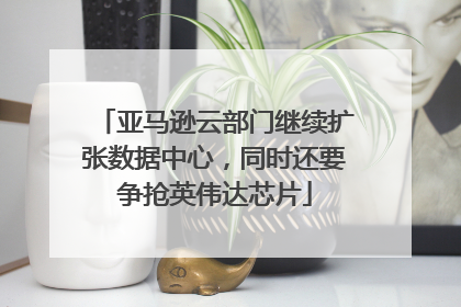 亚马逊云部门继续扩张数据中心，同时还要争抢英伟达芯片