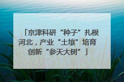 京津科研“种子”扎根河北，产业“土壤”培育创新“参天大树”