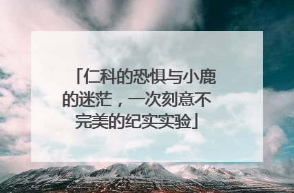 仁科的恐惧与小鹿的迷茫，一次刻意不完美的纪实实验