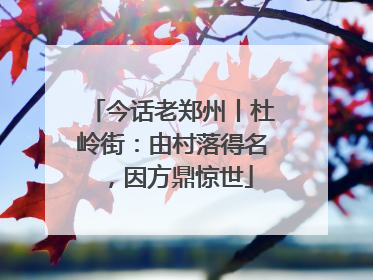 今话老郑州丨杜岭街：由村落得名，因方鼎惊世