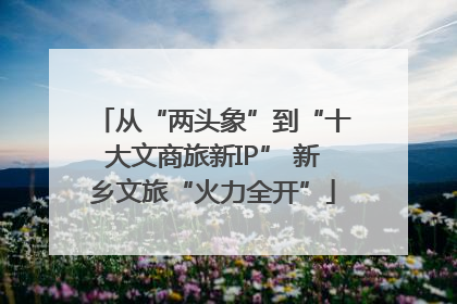 从“两头象”到“十大文商旅新IP” 新乡文旅“火力全开”