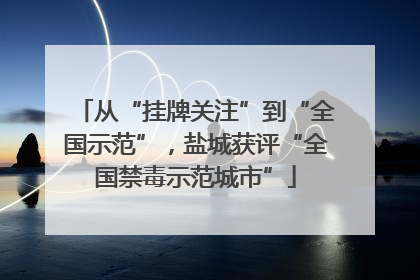 从“挂牌关注”到“全国示范”，盐城获评“全国禁毒示范城市”