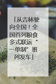 从吉林驶向全国！全国首列粮食多式联运“一单制”班列发车