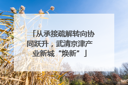 从承接疏解转向协同跃升，武清京津产业新城“焕新”