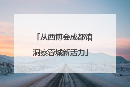 从西博会成都馆洞察蓉城新活力
