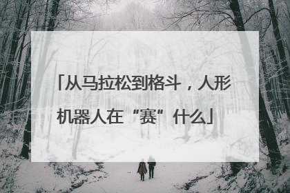 从马拉松到格斗，人形机器人在“赛”什么