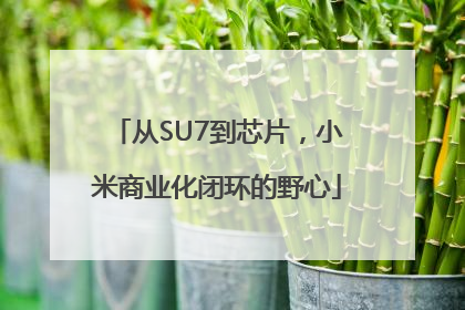 从SU7到芯片，小米商业化闭环的野心