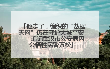 他走了，编织的“数据天网”仍在守护大城平安——追记武汉市公安局因公牺牲民警万松