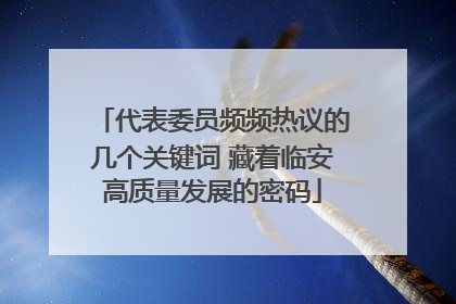 代表委员频频热议的几个关键词 藏着临安高质量发展的密码
