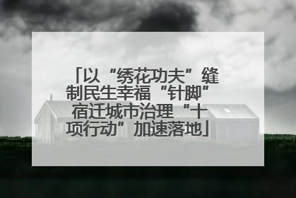 以“绣花功夫”缝制民生幸福“针脚” 宿迁城市治理“十项行动”加速落地