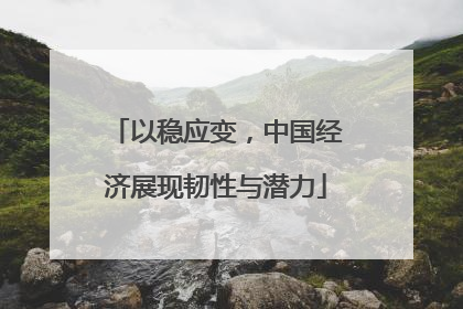以稳应变，中国经济展现韧性与潜力