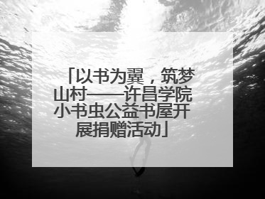 以书为翼，筑梦山村——许昌学院小书虫公益书屋开展捐赠活动