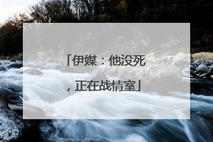 伊媒：他没死，正在战情室