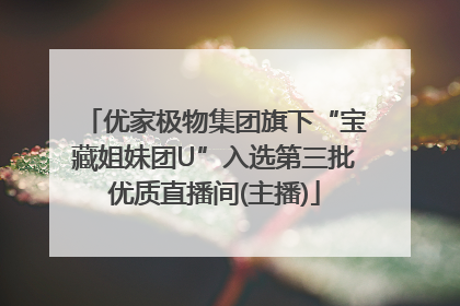 优家极物集团旗下“宝藏姐妹团U”入选第三批优质直播间(主播)
