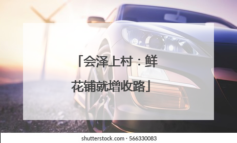 会泽上村：鲜花铺就增收路