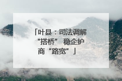 叶县：司法调解“搭桥” 稳企护商“路宽”