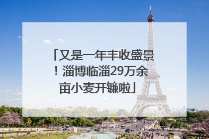 又是一年丰收盛景！淄博临淄29万余亩小麦开镰啦