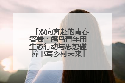 双向奔赴的青春答卷：鸬鸟青年用生态行动与思想碰撞书写乡村未来