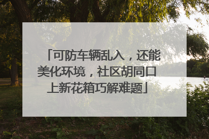 可防车辆乱入，还能美化环境，社区胡同口上新花箱巧解难题