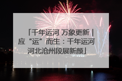 千年运河 万象更新｜应“运”而生：千年运河河北沧州段展新颜