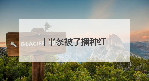 半条被子播种红色基因《沙洲的“小树苗”》出版