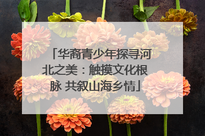 华裔青少年探寻河北之美：触摸文化根脉 共叙山海乡情
