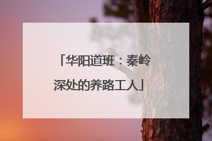 华阳道班：秦岭深处的养路工人