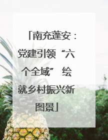 南充蓬安：党建引领“六个全域” 绘就乡村振兴新图景