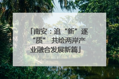 南安：追“新”逐“质” 共绘两岸产业融合发展新篇
