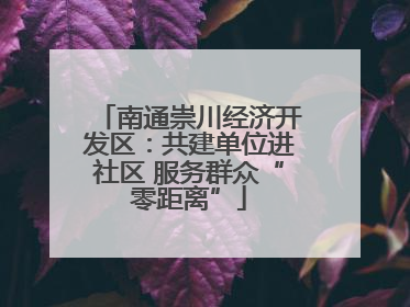 南通崇川经济开发区：共建单位进社区 服务群众“零距离”