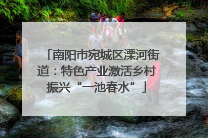 南阳市宛城区溧河街道：特色产业激活乡村振兴“一池春水”