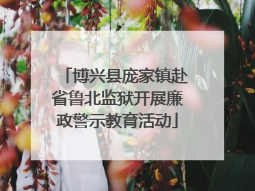 博兴县庞家镇赴省鲁北监狱开展廉政警示教育活动