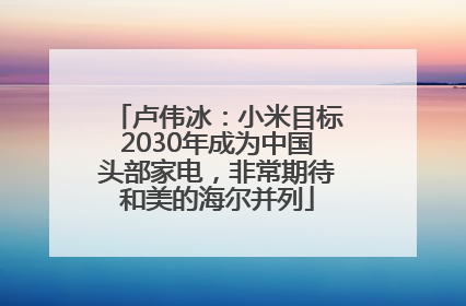 卢伟冰：小米目标2030年成为中国头部家电，非常期待和美的海尔并列