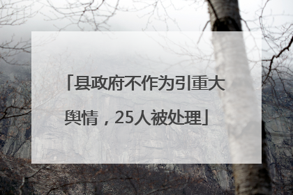 县政府不作为引重大舆情，25人被处理