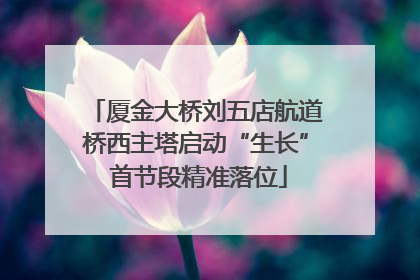 厦金大桥刘五店航道桥西主塔启动“生长” 首节段精准落位