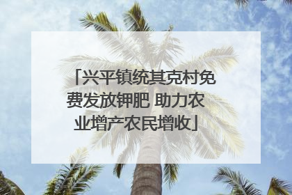 兴平镇统其克村免费发放钾肥 助力农业增产农民增收
