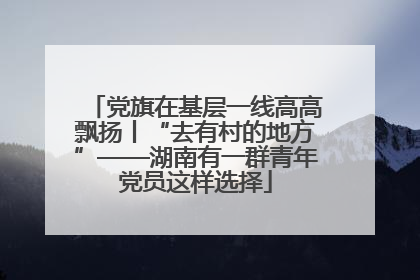 党旗在基层一线高高飘扬丨“去有村的地方”——湖南有一群青年党员这样选择