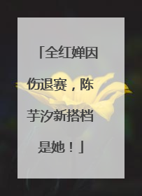 全红婵因伤退赛，陈芋汐新搭档是她！