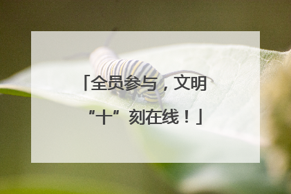全员参与，文明“十”刻在线！