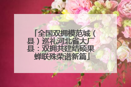 全国双拥模范城（县）巡礼河北省大厂县：双拥共建结硕果 蝉联殊荣谱新篇
