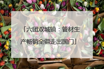 六团双城镇：管材生产畅销全疆走出国门