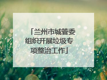 兰州市城管委组织开展垃圾专项整治工作